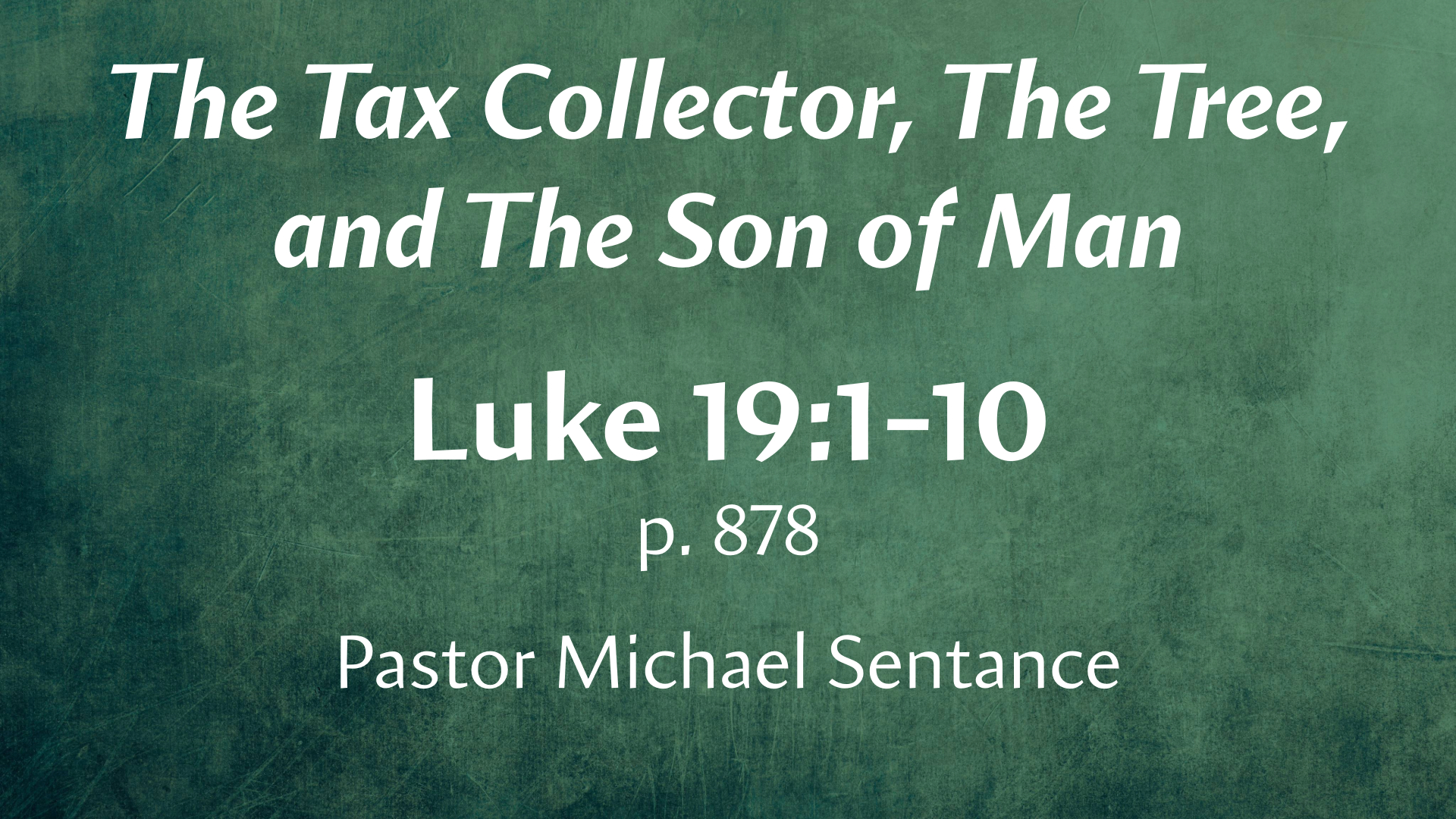 The Tax Collector, the Tree, and the Son of Man Stone Hill Church of