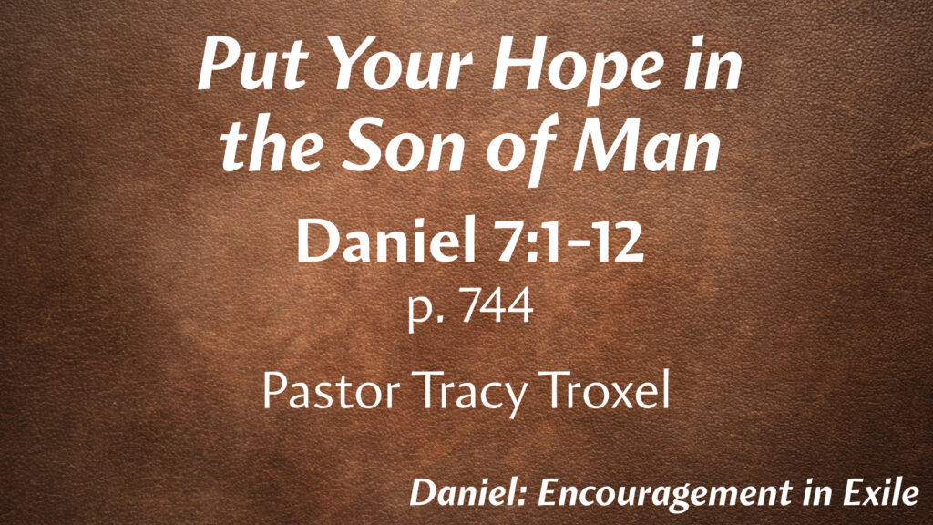 Put Your Hope in the Son of Man