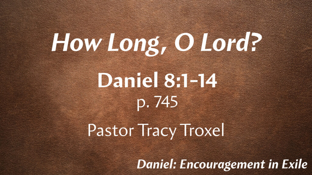 How Long, O Lord?