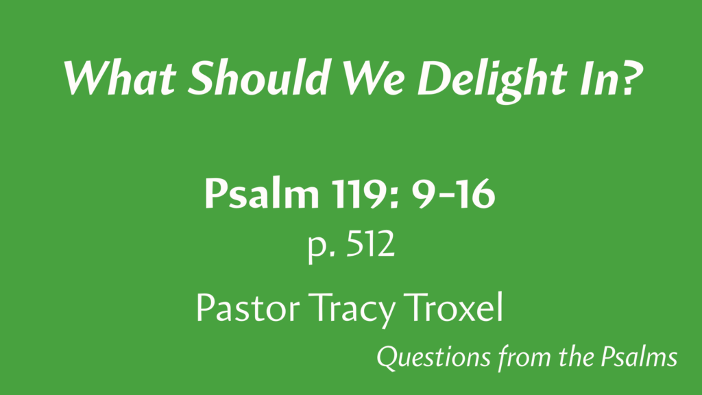 What Should We Delight In?