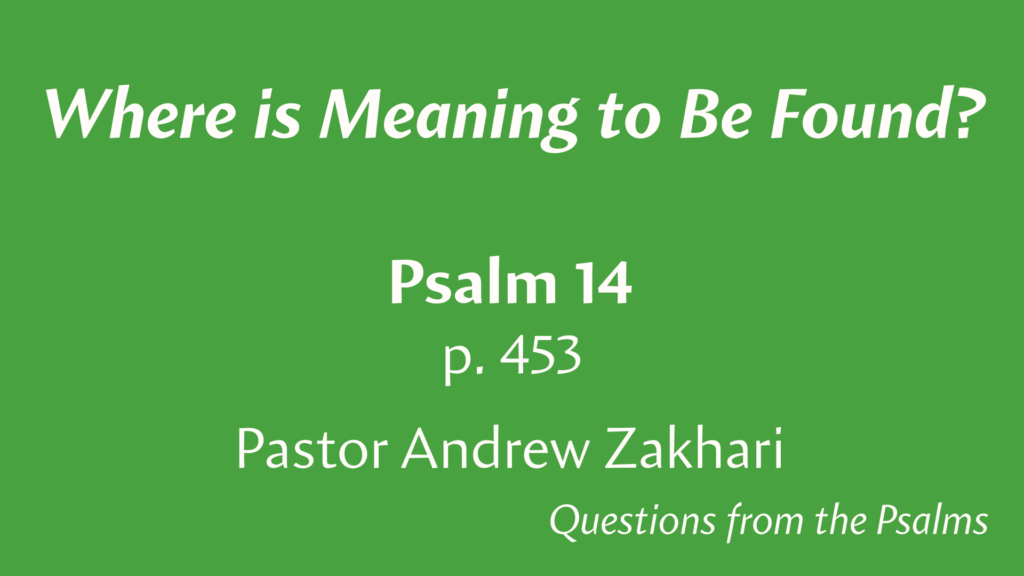 Where is Meaning to Be Found?